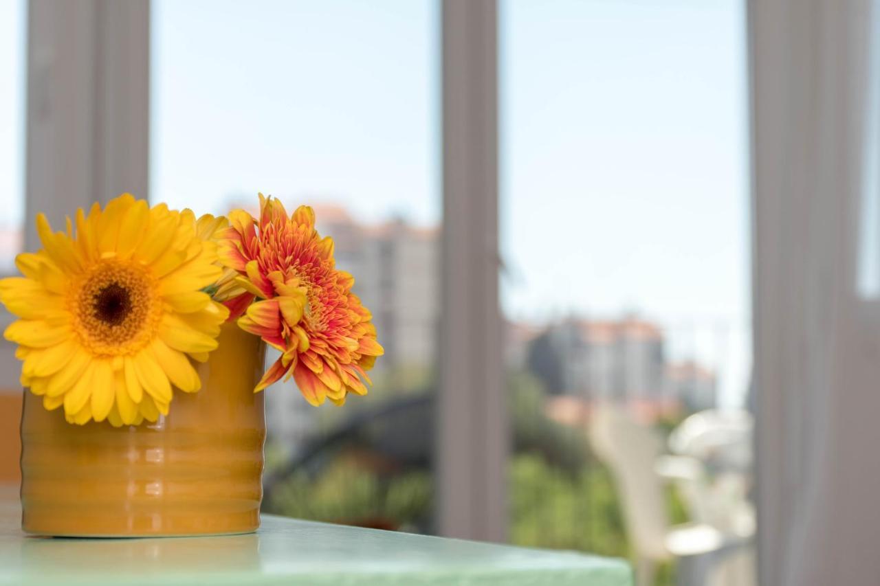 Nona Mileva Apartment プーラ エクステリア 写真